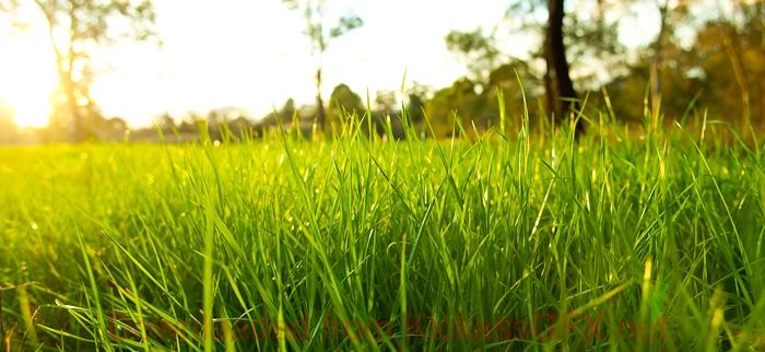 ddos在线攻击平台