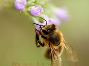 免费cc攻击测试