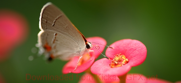 ddos攻击ip软件下载